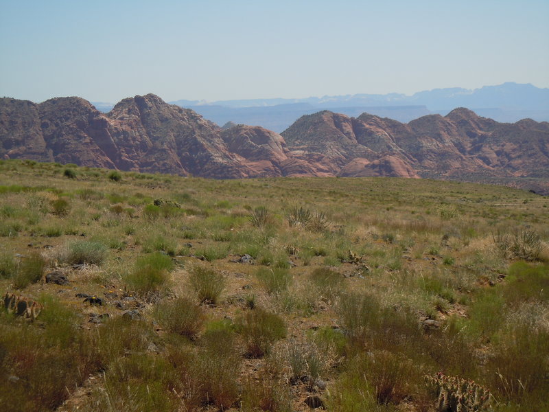 From Broken Mesa Trail.