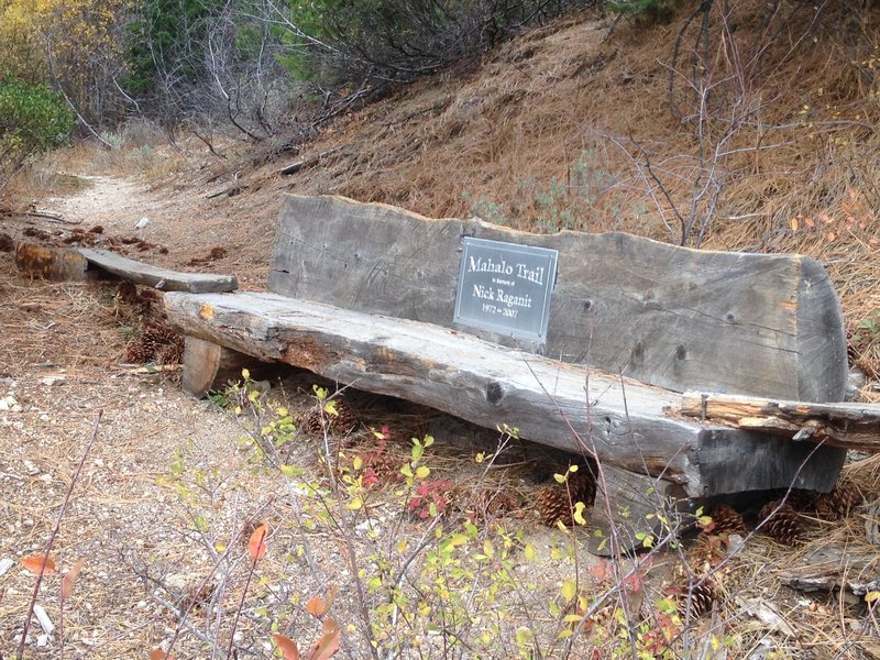 Memorial bench on Mahalo.