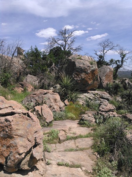 A section of the Epic Trail just below Decision Point.