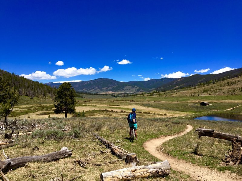 The view coming down Hay Trail and looking at part of the Soda Loop.