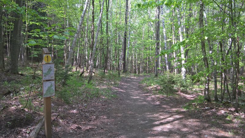 First crossroads looking in the direction of Cady Hill Climb headed north.