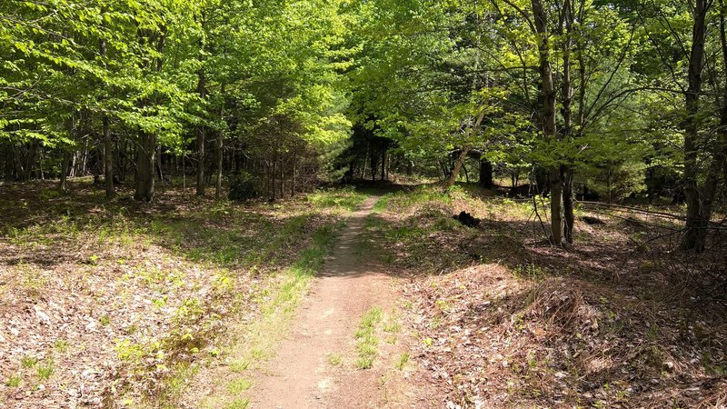 A break in the trees along the Cady Hill Connector.