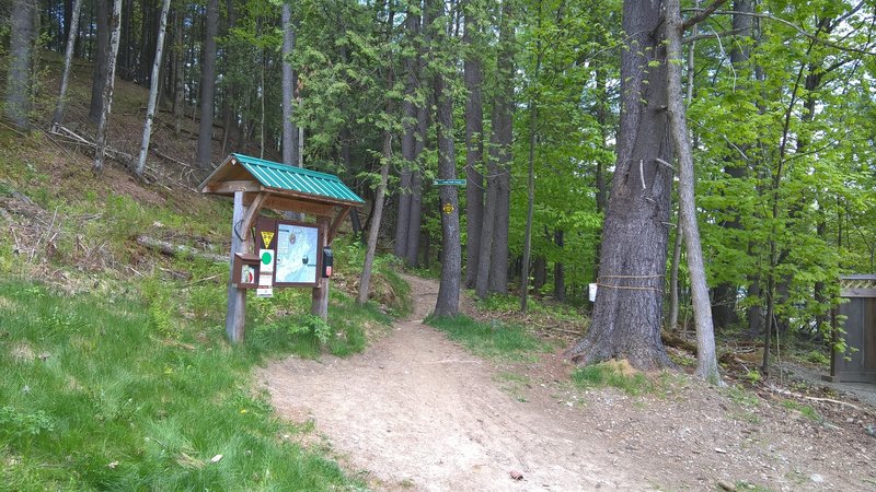 Cady Hill Climb trailhead from the parking lot.