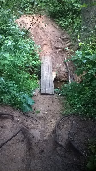 Hard to tell just how straight down/back up this is but it is one of the first elements you run into - welcome to the trail!