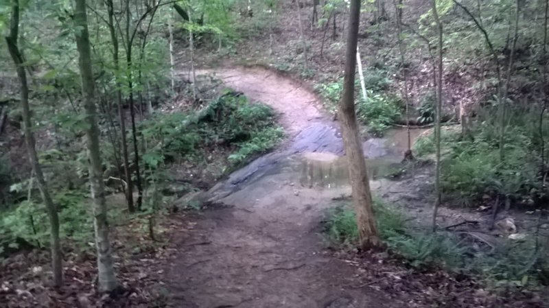 A cool creek/rock crossing - beautiful scenery throughout this trail - quite a few exposed tree roots early on to manage.