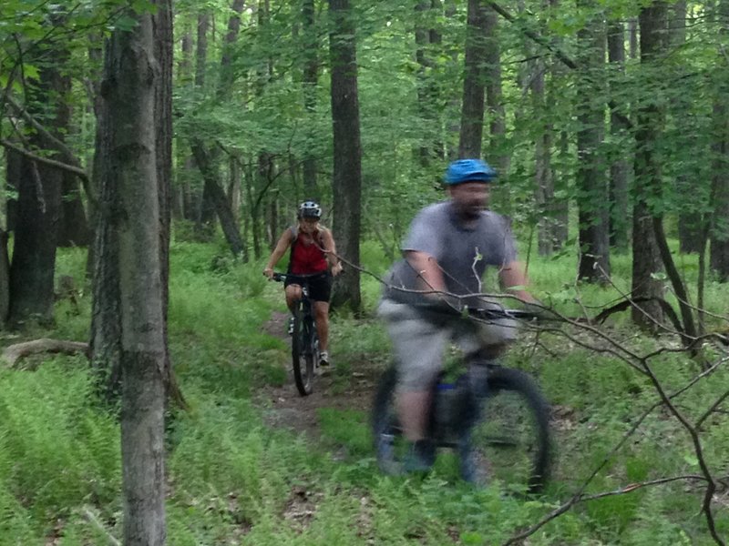 Level, flowing condition typical of the south section of Black Bear. The INTRO ride doesn't encounter the pic north of here.