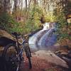 Waterfall on Thorps Creek.