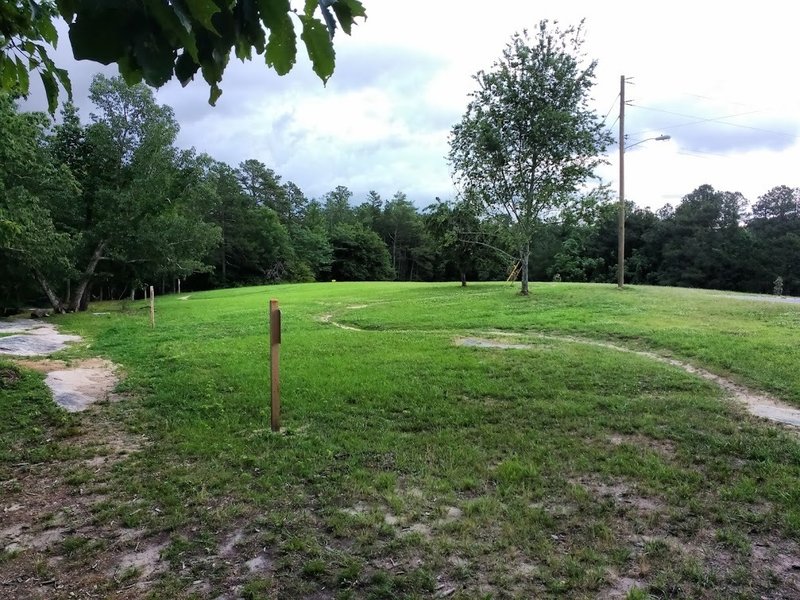 Looking back at the switchbacks in the meadow after exiting the woods.