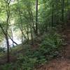 Trail runs along the west side of Allatoona Creek. Beautiful area of the park.