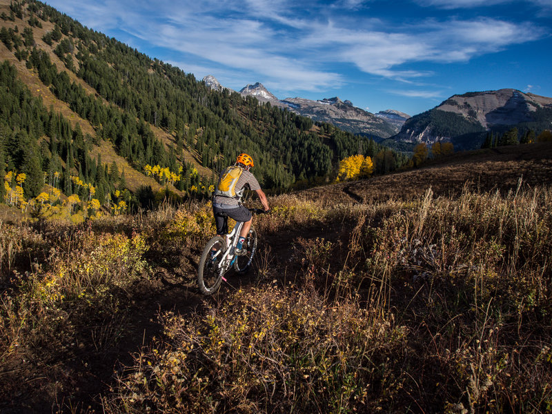 Grand Targhee Resort trail builder Andy Williams test riding a very recently completed Rocky Mountain Way.