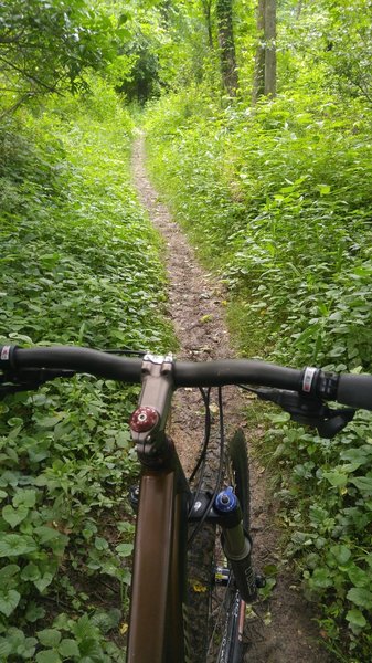 Narrow steep and muddy.