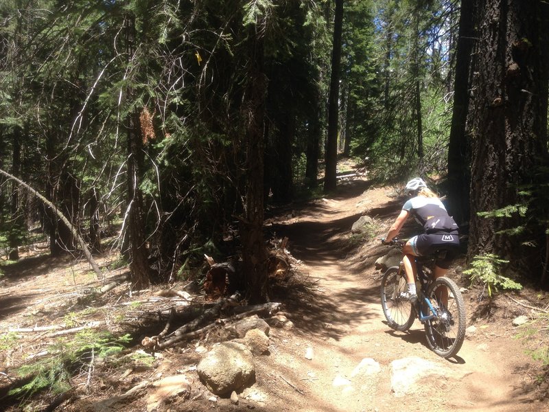 Climbing up from Hwy 89.