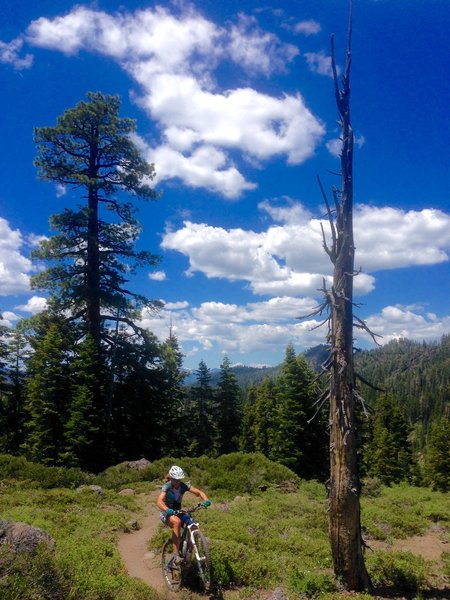 Just another one of those epic Tahoe days on the trail