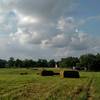 Hay bales in the late spring.