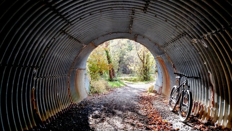 Tunnel to trail, Fair Hill, MD.