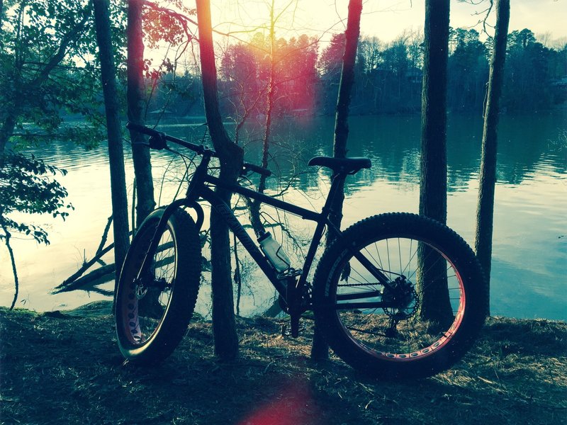 Lower lake loop of Hickory City Trails, aka "Stumpy-McStumperson."