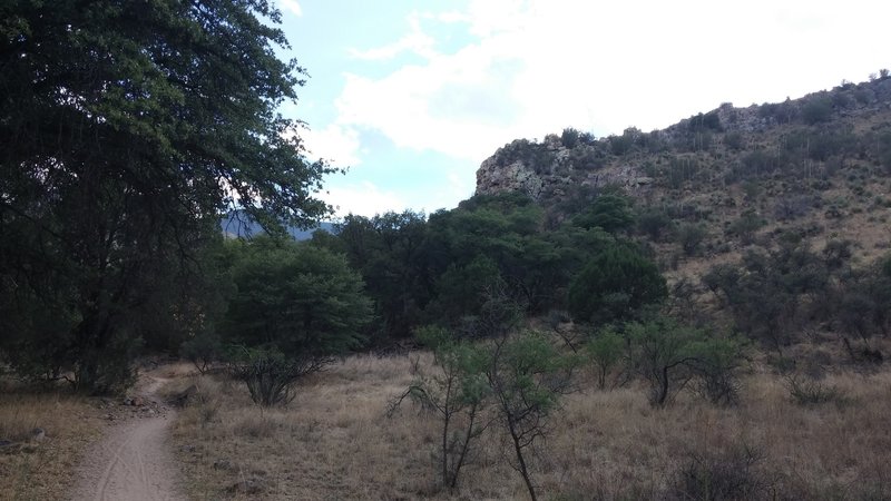 Going counter clockwise, about 1 mile in. Creek on the left. Cliffs on the right.