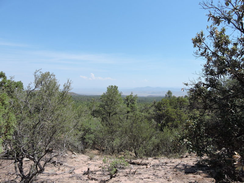 A typical vista from the ride. Tree cover obscures some viewpoints.