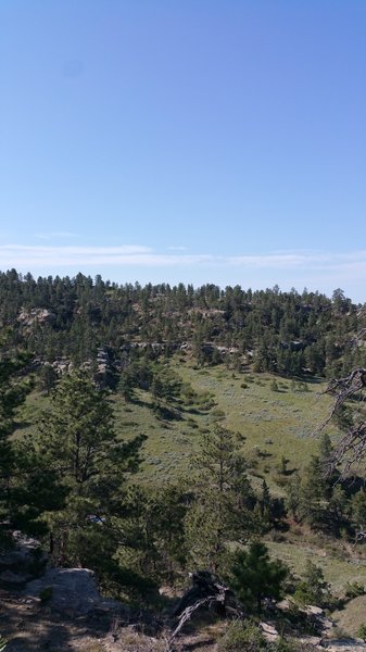 Getting ready to descend the Roller Coaster Trail in Montana.