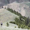 Meadow Surfer trail in Wagonhammer.