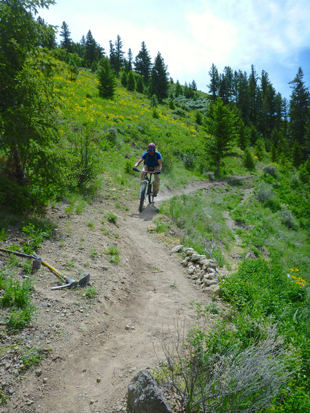 "Testing" the trail repairs after a Trail Day on Meadow Surfer.