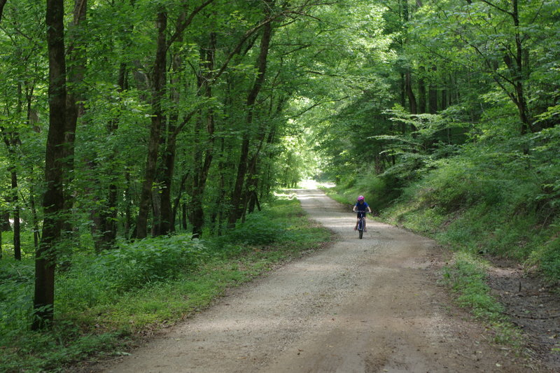 Lily racing along Star Gaps Road.