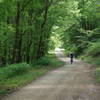 Lily racing along Star Gaps Road.