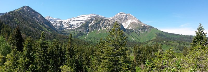 Looking northwest from north end of the Salamander Trail.