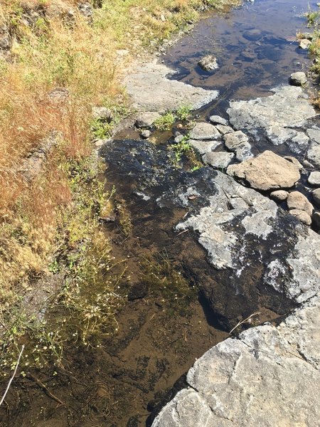 A stream created by 8-Mile Creek. Good spot to take a breather/get a quick snack.