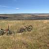 The highlight views of Vista Loop; The Columbia River traveling east-west.