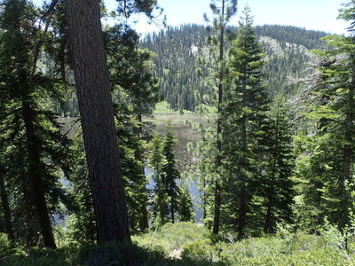 McKinney Lake through the trees. 1st lake on Rubicon.