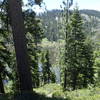 McKinney Lake through the trees. 1st lake on Rubicon.