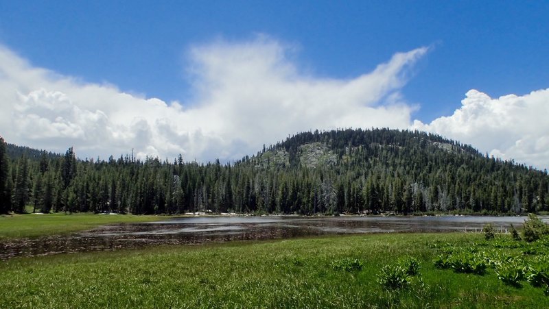 Miller Meadows - a seasonal pond and open meadows with lots of wildflowers. Worth the 200 yard side trip.