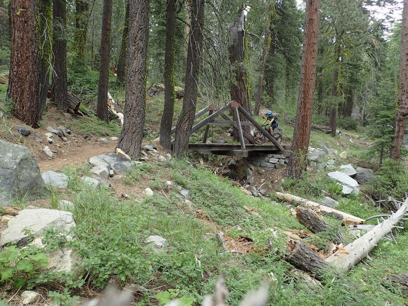 General Creek Trail at the Lily Pond intersection.