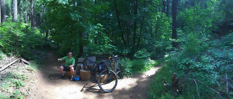 Marker #10. Bottom of a gradual descent from the logging museum, before going up to the lookout.