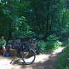 Marker #10. Bottom of a gradual descent from the logging museum, before going up to the lookout.