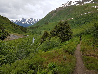 Johnson Pass Trail North.
