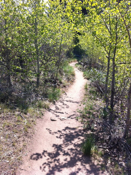 Ash Creek Flow Trail in spring 2016.