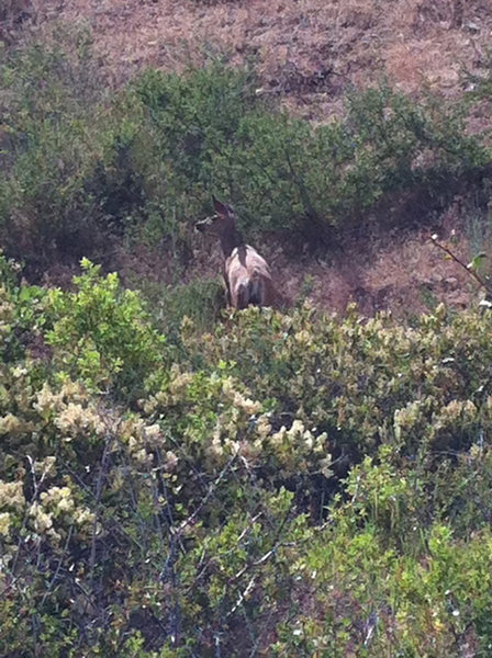 Locals hang out along this trail.