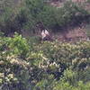 Locals hang out along this trail.