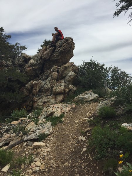 Rock Spine Rest Spot. 75% to lookout.