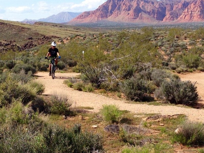 Easy uphill ride at the start.