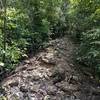 Challenging rocky section of the Rubble Ridge Trail at Lehigh Portland Trails.