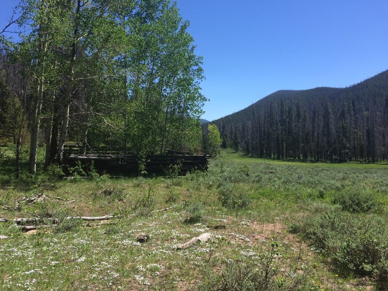 Old homestead ranchers cabin. There's another one in the northeast corner of the meadow by the Cty Rd 6 trailhead.