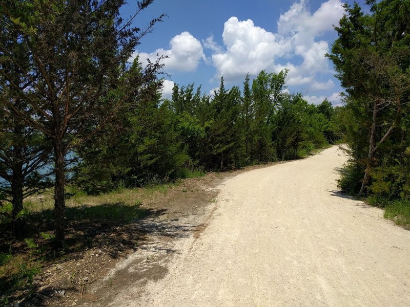 The Backbone Trail winds through the trees, with Lake Lehigh off to the left.