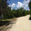 The Backbone Trail winds through the trees, with Lake Lehigh off to the left.