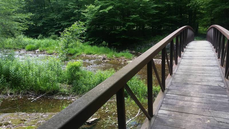 Beginning of Leading Ridge Trail