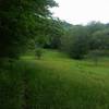 Wetlands on North Prong.