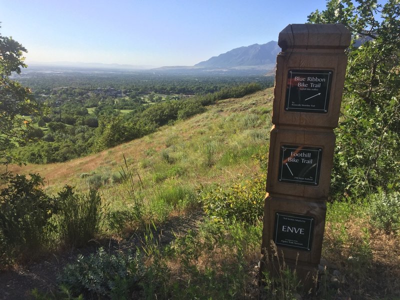 Can't beat the views from the Ogden trail system.