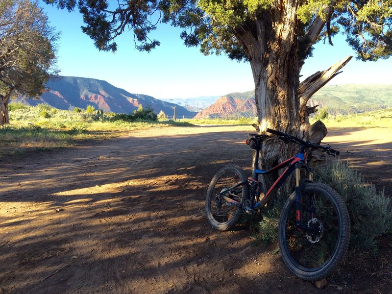 At the very start of Pool & Ice Rink Trail - ready for the downhill fun to begin.